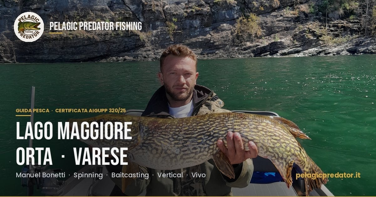 Pelagic Predator Fishing